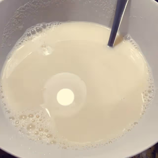 生豆豆漿（攪拌機版）