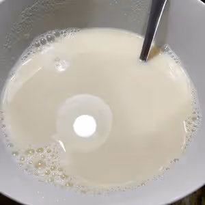 生豆豆漿（攪拌機版）