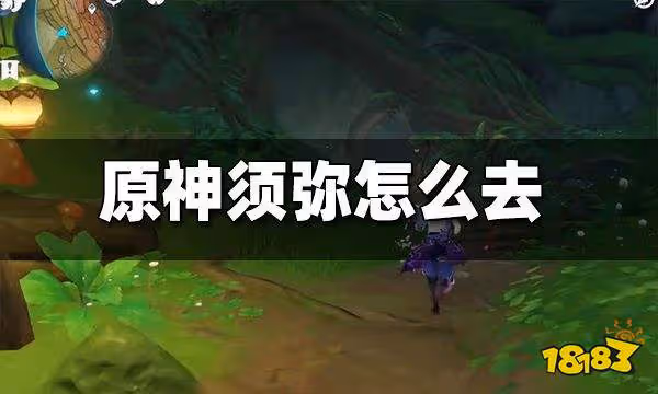 原神須彌怎麼去 須彌前往方法圖文攻略
