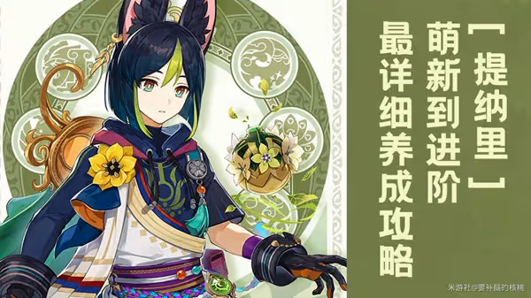 《原神》3.0提納里全面培養指南