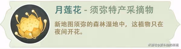 《原神》3.0提納里全面培養指南