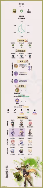 《原神》柯萊一圖流培養指南