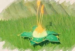 《原神》須彌新增解謎玩法介紹