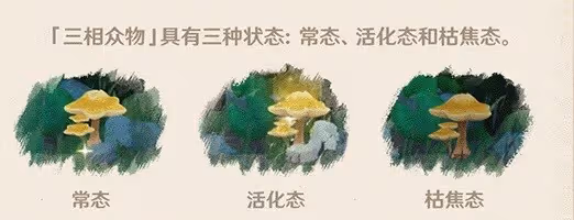 《原神》須彌新增解謎玩法介紹