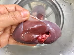 白切豬腰