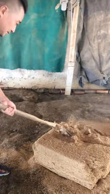 安徽主持人去農村養雞,站雞棚滿腳泥不嫌髒,用鐵鍬鏟土姿勢熟練