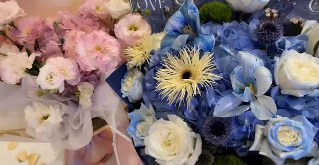 郎朗妻子吉娜曬28歲生日照 一身紅衣美麗又優雅