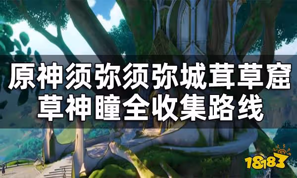 原神須彌城茸草窟草神瞳位置一覽 須彌須彌城茸草窟草神瞳全收集路線