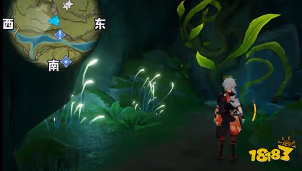 原神須彌城茸草窟草神瞳位置一覽 須彌須彌城茸草窟草神瞳全收集路線