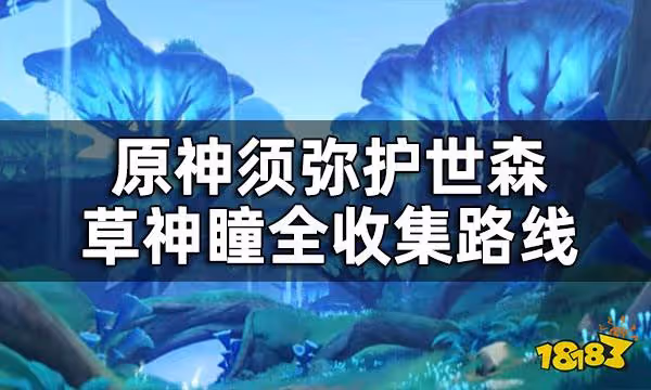 原神護世森草神瞳位置一覽 須彌護世森草神瞳全收集路線