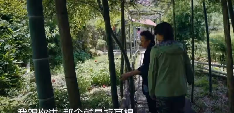 出道20年第一次上綜藝，可是上了美國熱搜的尹桃依舊被這個廚子搶了風頭