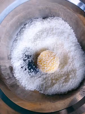 黃金椰蓉球（全蛋&amp;無油）