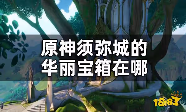 原神須彌城華麗寶箱位置 須彌城的華麗寶箱在哪