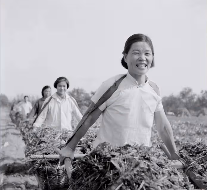 與農村親姐相認,對方一貧如洗,林青霞身家上億卻不幫襯,背後原因曝光,全網暴贊:她真的不簡單