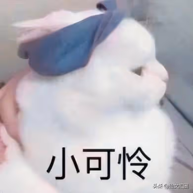 娛樂八卦爆料：韓女星早年出賣色相大玩仙人跳的故事