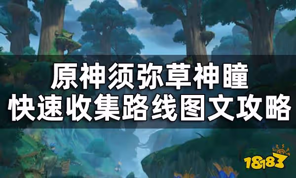 原神草神瞳位置圖全覽 須彌草神瞳快速收集路線視頻圖文攻略