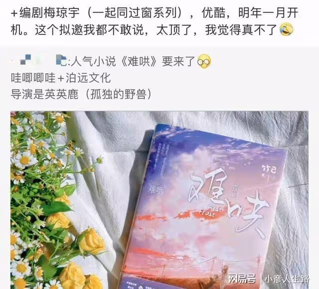 小說《難哄》將影視化?網傳由迪麗熱巴王一博主演,粉絲已澄清