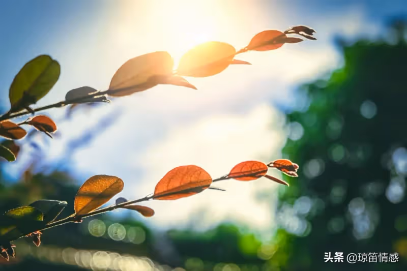 「一周里三天要去洗腳按摩,一次花兩百多,你說是應酬,誰信?」