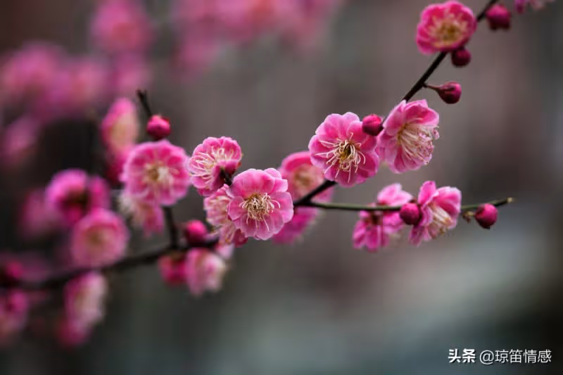 「一周里三天要去洗腳按摩,一次花兩百多,你說是應酬,誰信?」