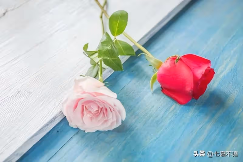 鳳凰男供完弟讀書,又給30萬買房,妻子離婚:憑自個本事當扶弟魔