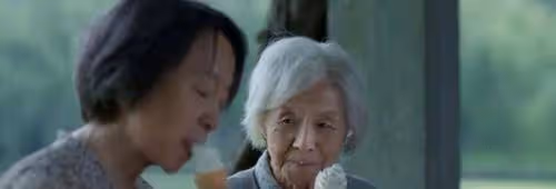 這屆北影紅毯，誰也艷壓不了她倆