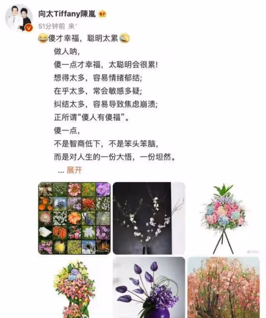 向太髮長文剖析傻人有傻福 內涵郭碧婷?
