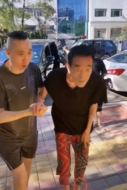 90歲楊少華海南度假，開140萬豪車住星級酒店，大魚大肉樣樣不落