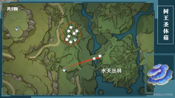 《原神》柯萊培養材料獲取指南
