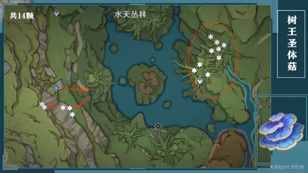 《原神》柯萊培養材料獲取指南