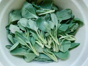 毛豆子鑿鹽擠【家鄉特色菜】