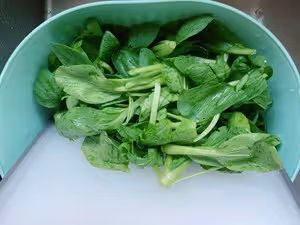 毛豆子鑿鹽擠【家鄉特色菜】