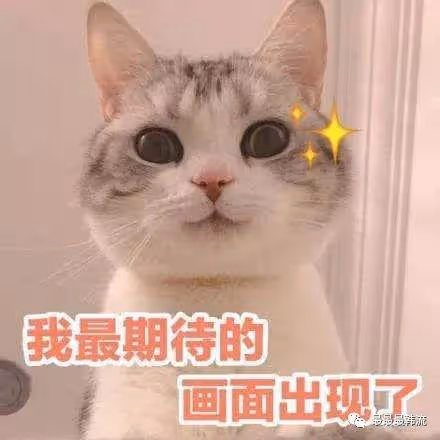 這下真的要完蛋了!