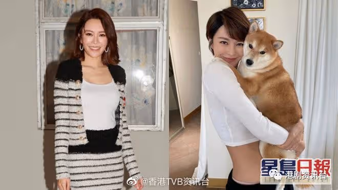 黃智雯再拍馬德鍾想加枕邊戲!贊羅天宇大隻歡迎摸肌演出