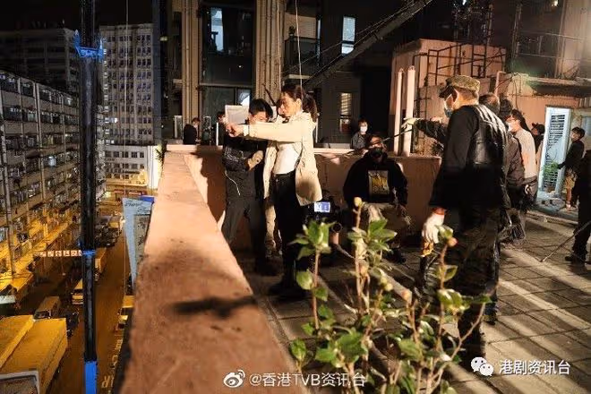 TVB視後大戰正式開啟丨陳煒獨攬三劇氣勢猛!胡定欣磨劍兩年再出擊