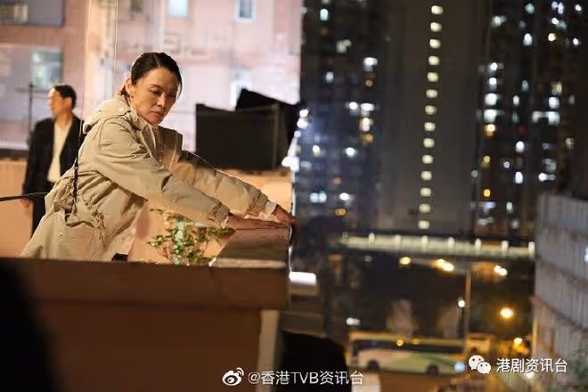 TVB視後大戰正式開啟丨陳煒獨攬三劇氣勢猛!胡定欣磨劍兩年再出擊