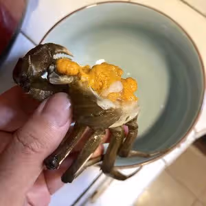 六月黃：螃蟹炒年糕