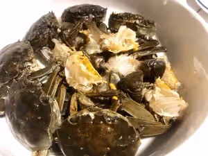 六月黃：螃蟹炒年糕