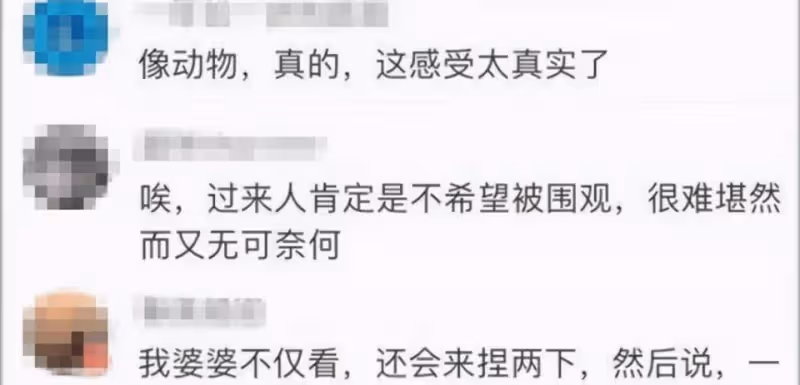 王斯然喂奶遭圍觀崩潰大哭,自嘲自己像動物,老公教科書式回應