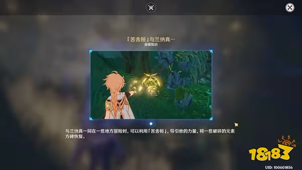 原神正法炬書任務攻略合集 正法炬書全流程超詳細攻略一覽