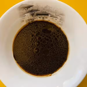 零基礎快手菜_蔥燒木耳