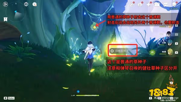 原神夢中的苗圃新芽迸發的曲調攻略 新芽迸發的曲調要怎麼完成