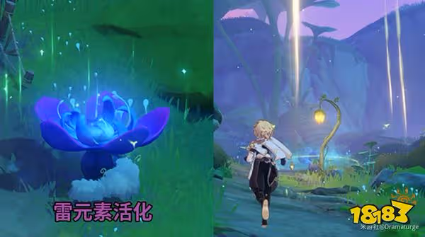 原神幻夢之種的試煉要怎麼過 蘭娜羅的世界穿過圓拱任務攻略