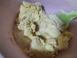 香到掉下巴的—椰蓉餅乾