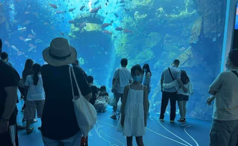 許雅鈞懶理與美女約會熱議，攜全家旅遊，二女兒身高快趕上爸爸