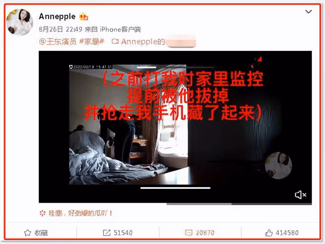 演員王東家暴視頻曝光:拳打腳踢、掐脖子、孕期出軌,樣樣不落