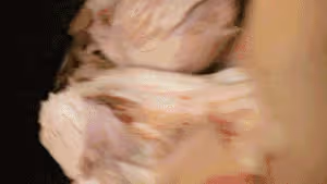 【開水白菜】