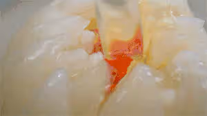 【開水白菜】