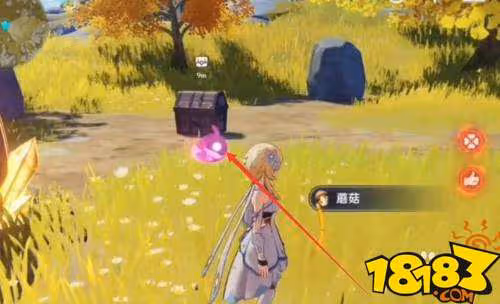 原神璃月精緻寶箱怎麼解密 原神璃月精緻寶箱解密攻略