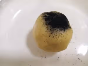 如意桃山皮月餅【附自製桃山皮做法（含糖&amp;無糖）】