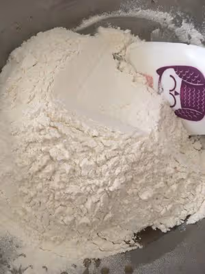 廣式月餅--普通/黑糖糖漿